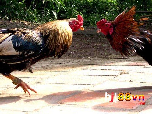 Khám Phá Thế Giới Xo So Mb Hom Qua – Cơ Hội Và Trải Nghiệm