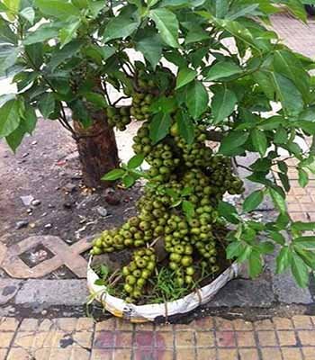 Bat Dong San Da Nang Bí Kíp Thắng Lớn Từ A Đến Z
