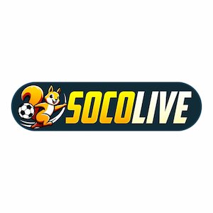 Đầu Tư Đất Khám Phá Thế Giới Livestream Trực Tiếp Từ Người Dùng Đến Người Tạo Nội Dung