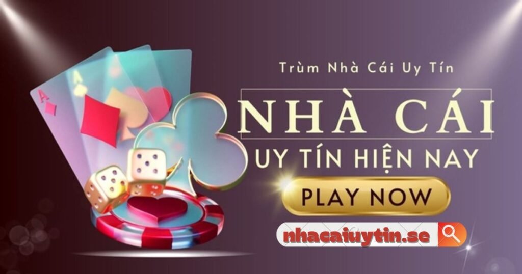 Khám Phá Thế Giới Vlxx Map Tiêu Chí Chọn Lựa Thông Minh