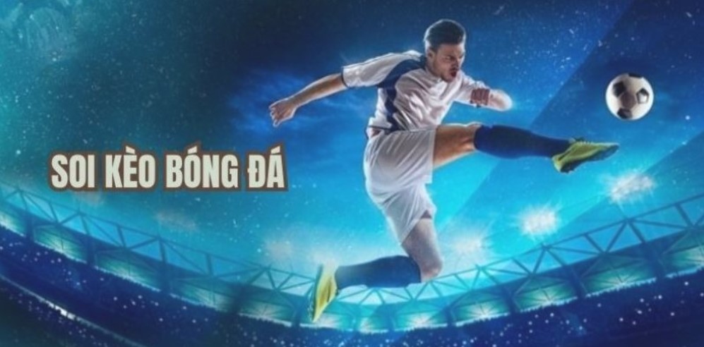 Xuongphim18 Tiêu Chí Đánh Giá & Kinh Nghiệm Chọn Lựa